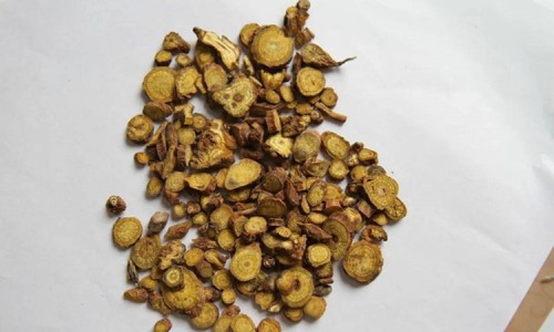 芦阳芝的功效是真的吗-芦阳参的功效与作用网- 芦阳参的功效与作用禁忌知识,分享芦阳芝的功效是真的吗